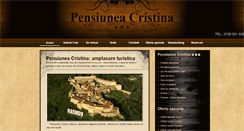 Desktop Screenshot of pensiuneacristinarasnov.ro